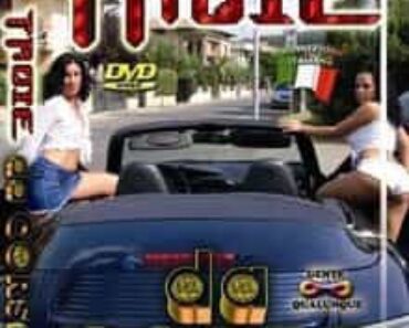 Troie da corsa CentoXCento Streaming : Alex e i suoi amici pedinano 2 maiale molto abbienti e trovano la maniera di scoparle .... ( PORNO-HD-STREAMING - Film Porno Italiani Streaming - PornoHDStreaming  ) .... (CXD00527)